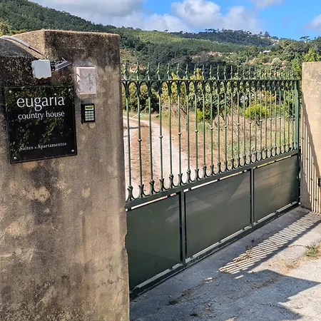 Eugaria By Lost Lisbon