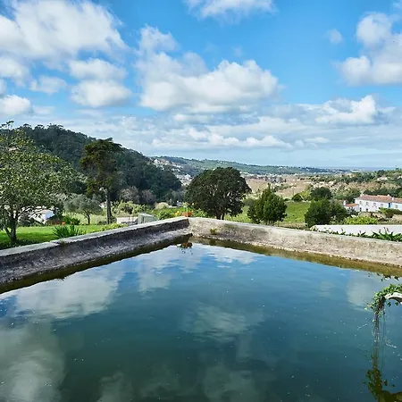 Eugaria By Lost Lisbon